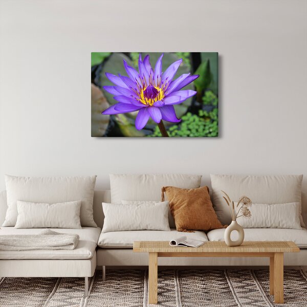 Slika - Ljubičasti cvijet (90x60 cm)