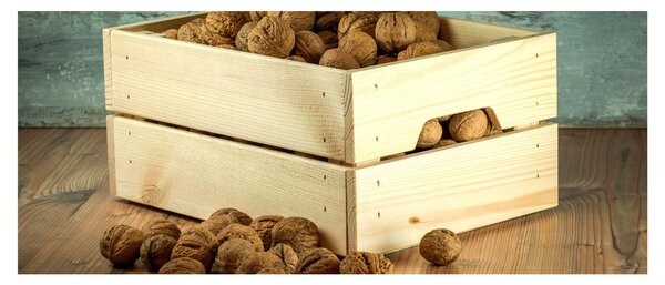 Slika - Jesenska mrtva priroda s orasima (120x50 cm)