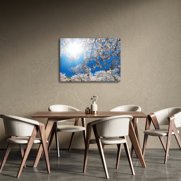 Slika - Cvjetovi trešnje (70x50 cm)