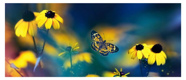 Slika - Žuti leptir s cvijećem (120x50 cm)