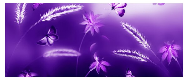 Slika - Leptiri na livadi (120x50 cm)