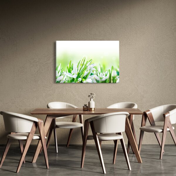 Slika - Visibabe (90x60 cm)