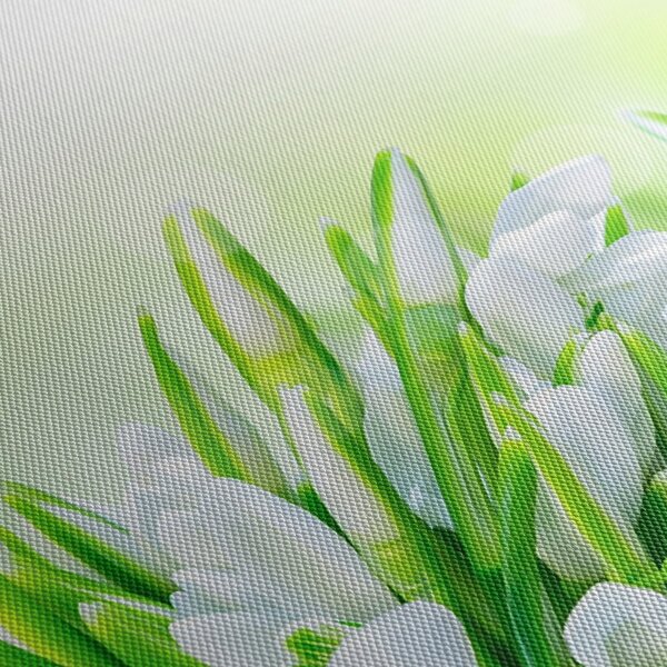 Slika - Visibabe (90x60 cm)