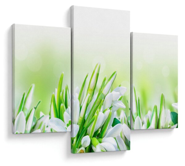 Slika - Visibabe (90x60 cm)