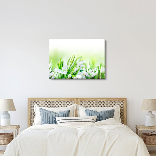 Slika - Visibabe (70x50 cm)