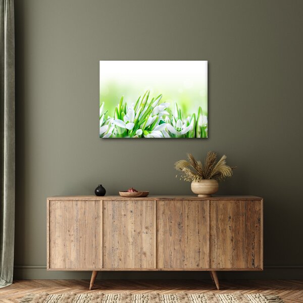 Slika - Visibabe (70x50 cm)