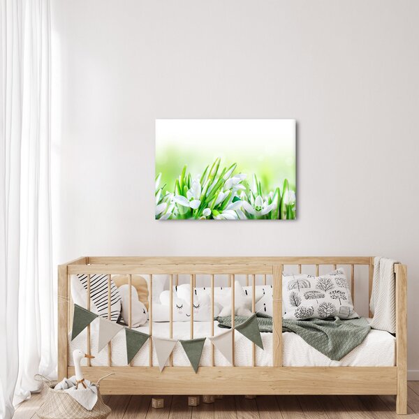 Slika - Visibabe (70x50 cm)