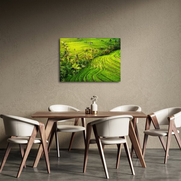 Slika - Rižine terase (70x50 cm)