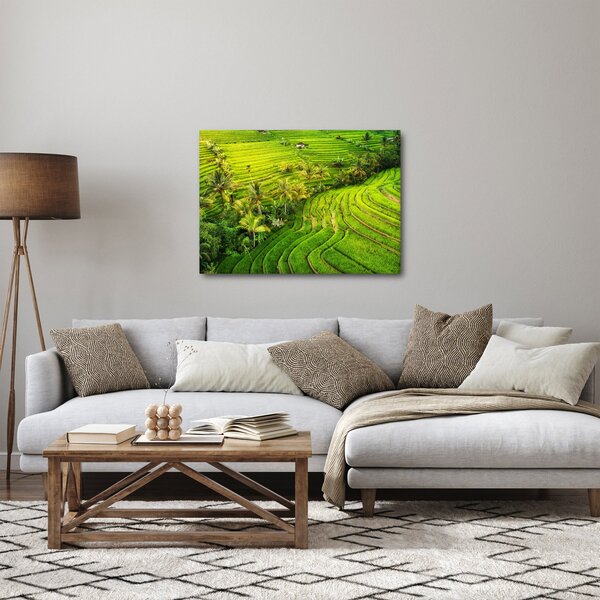 Slika - Rižine terase (70x50 cm)