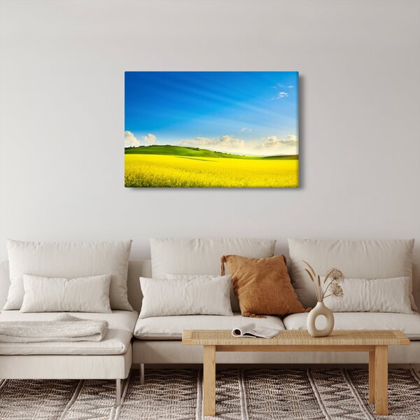 Slika - Proljetno nebo (90x60 cm)