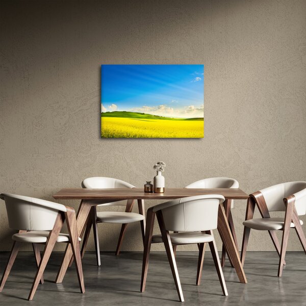 Slika - Proljetno nebo (70x50 cm)