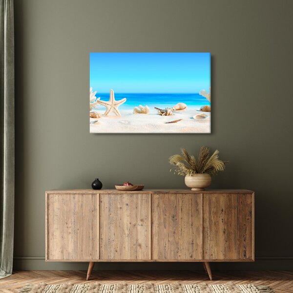 Slika - Mrtva priroda s školjkama (90x60 cm)