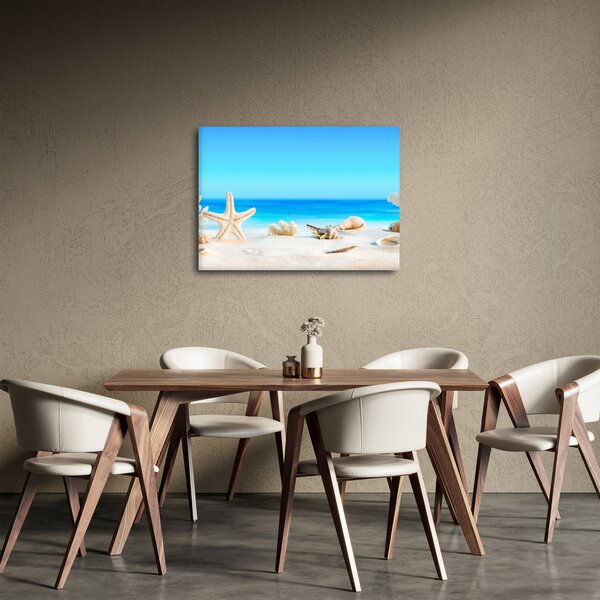 Slika - Mrtva priroda s školjkama (70x50 cm)