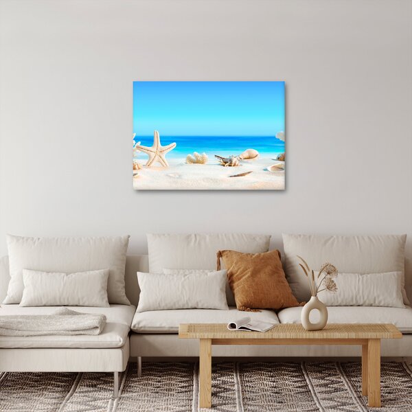 Slika - Mrtva priroda s školjkama (70x50 cm)