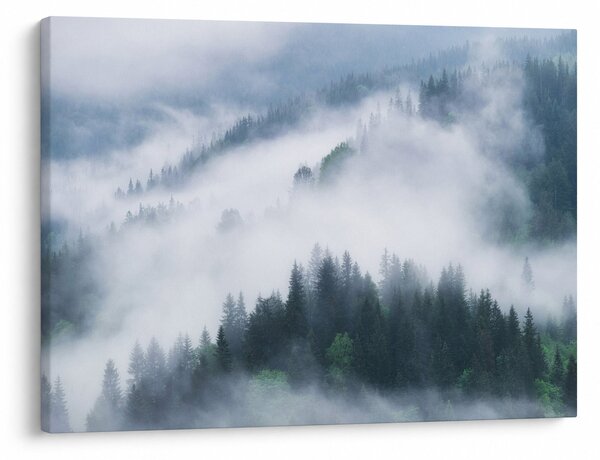 Slika - Drveće u magli (70x50 cm)