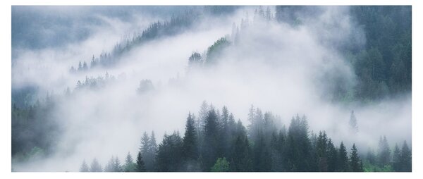 Slika - Drveće u magli (120x50 cm)