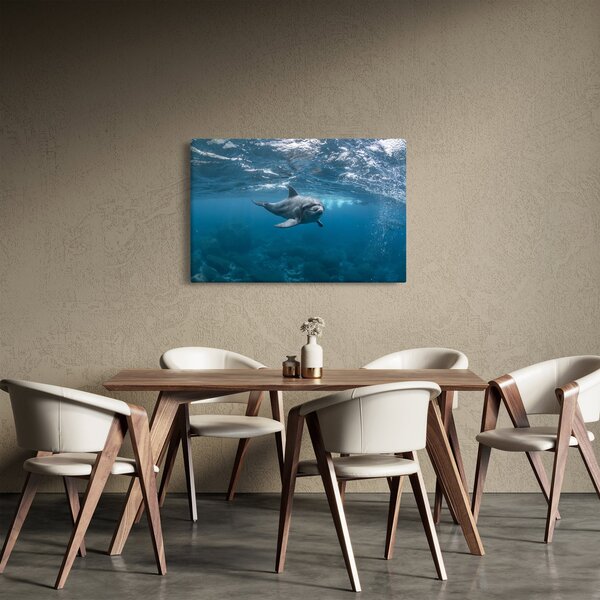 Slika - Dupin ispod površine mora (90x60 cm)