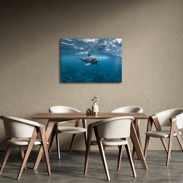 Slika - Dupin ispod površine mora (70x50 cm)