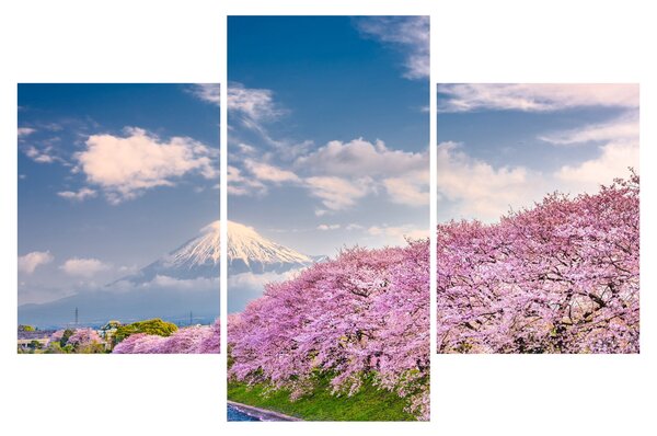 Slika - Japanski proljetni krajolik (90x60 cm)