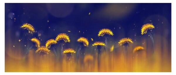 Slika - Maslačci (120x50 cm)