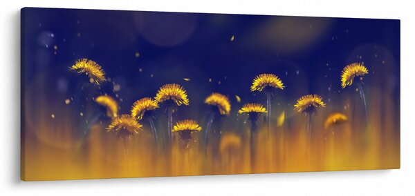 Slika - Maslačci (120x50 cm)