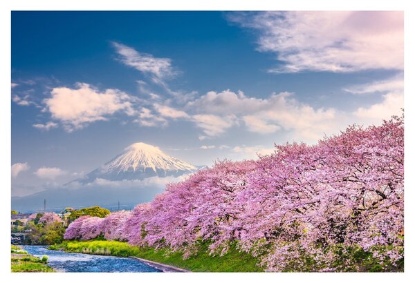 Slika - Japanski proljetni krajolik (90x60 cm)