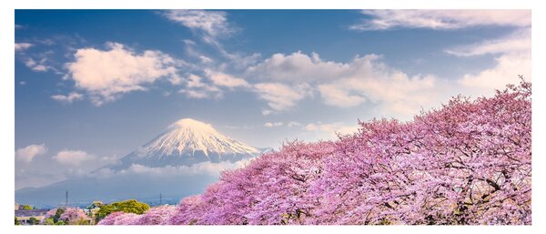 Slika - Japanski proljetni krajolik (120x50 cm)