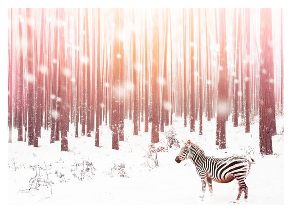 Slika - Zebra u snježnoj šumi (70x50 cm)