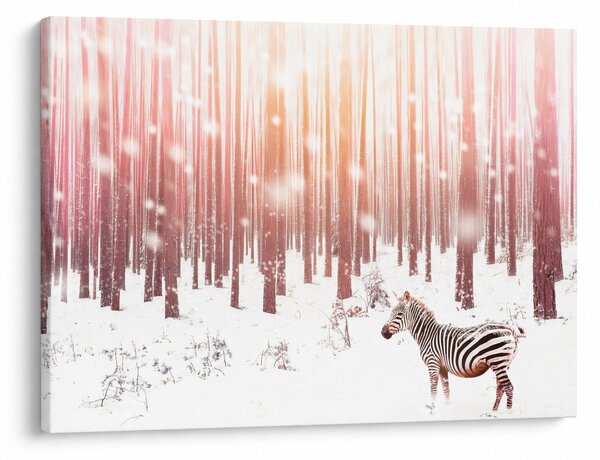 Slika - Zebra u snježnoj šumi (70x50 cm)