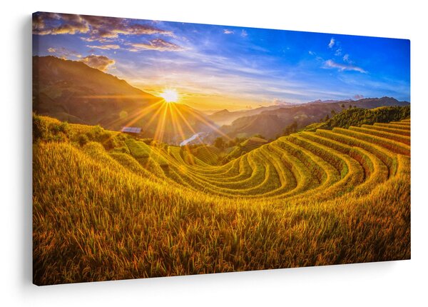 Slika - Rižine terase u Vijetnamu (90x60 cm)
