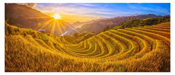 Slika - Rižine terase u Vijetnamu (120x50 cm)