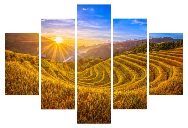 Slika - Rižine terase u Vijetnamu (150x105 cm)