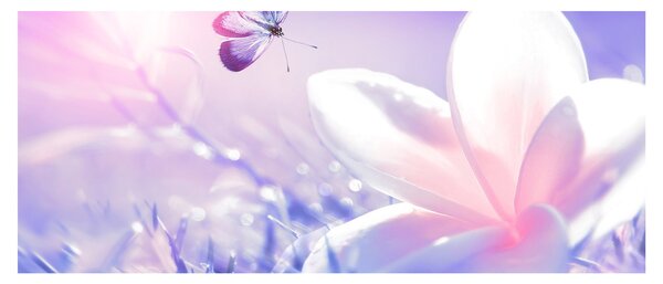 Slika - Leptir slijeće na cvijet (120x50 cm)