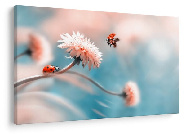 Slika - Bubamare na cvijetu (90x60 cm)
