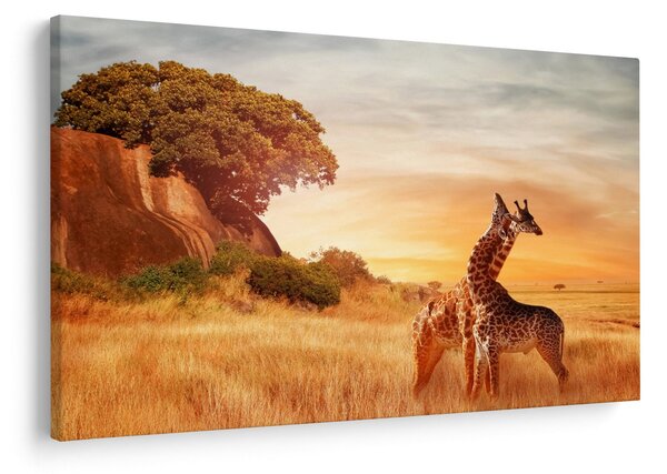 Slika - Žirafe u Africi (90x60 cm)