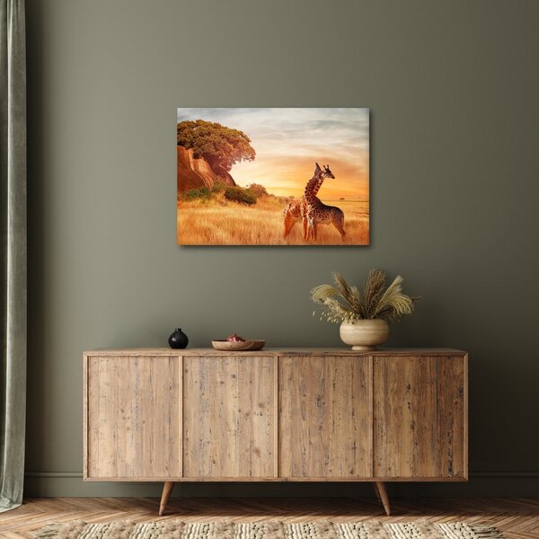 Slika - Žirafe u Africi (70x50 cm)
