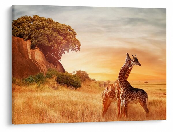 Slika - Žirafe u Africi (70x50 cm)