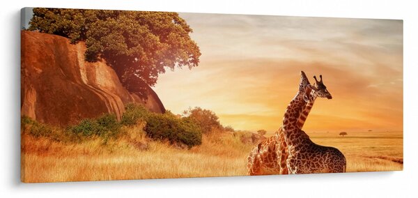 Slika - Žirafe u Africi (120x50 cm)