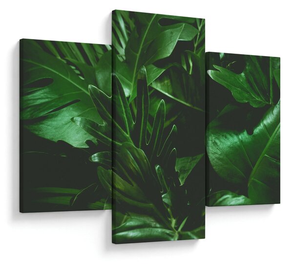 Slika - Lišće palme (90x60 cm)