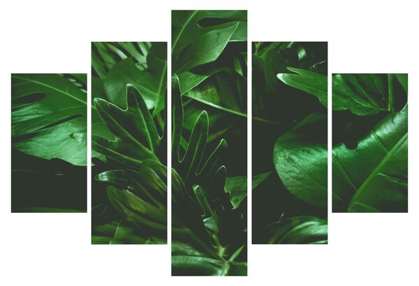 Slika - Lišće palme (150x105 cm)