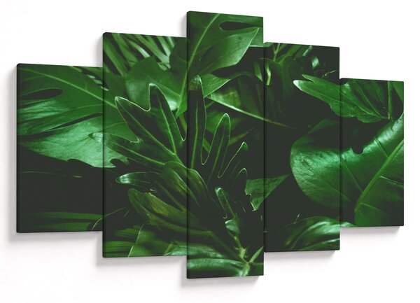 Slika - Lišće palme (150x105 cm)