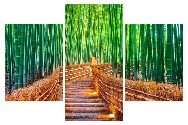 Slika - Šuma japanskog bambusa (90x60 cm)