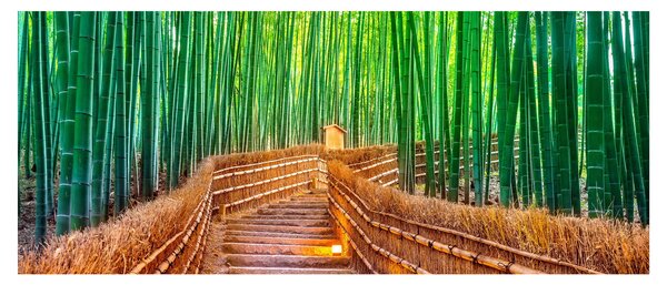 Slika - Šuma japanskog bambusa (120x50 cm)