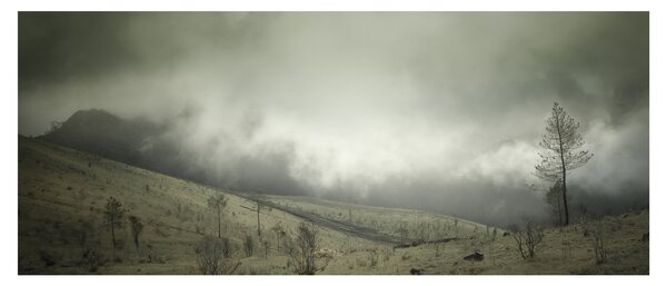 Slika - Krajolik prije oluje (120x50 cm)