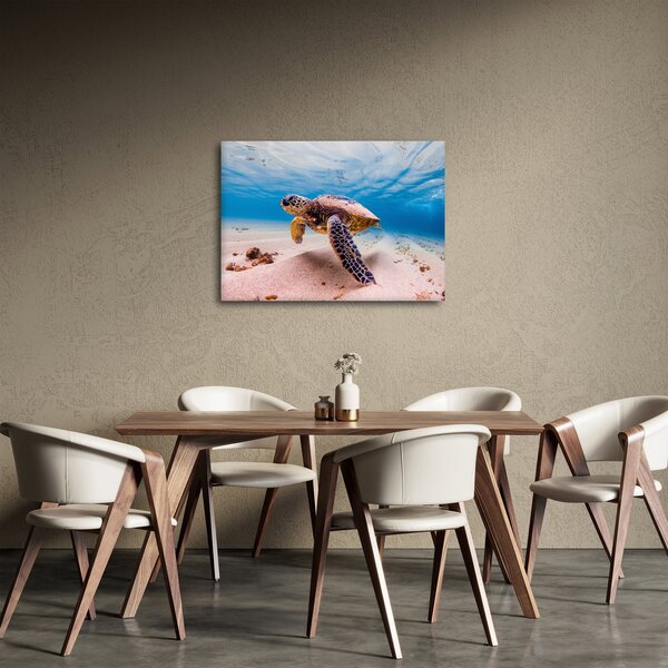 Slika - Kornjača u oceanu (70x50 cm)