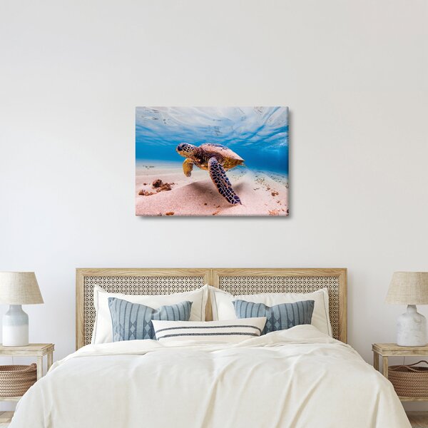 Slika - Kornjača u oceanu (70x50 cm)