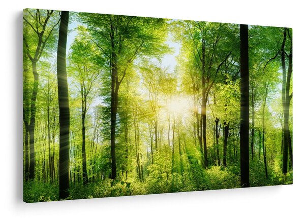 Slika - Zora u šumi (90x60 cm)