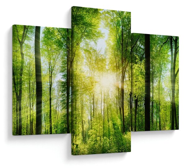 Slika - Zora u šumi (90x60 cm)