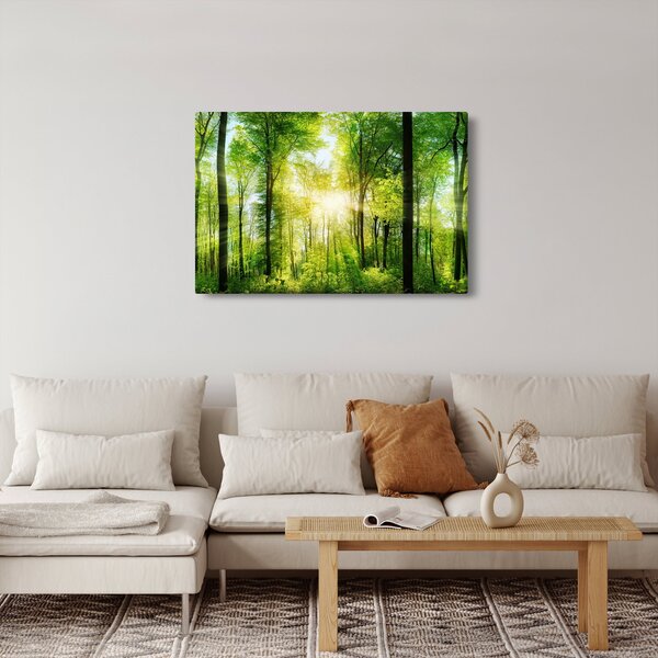 Slika - Zora u šumi (90x60 cm)