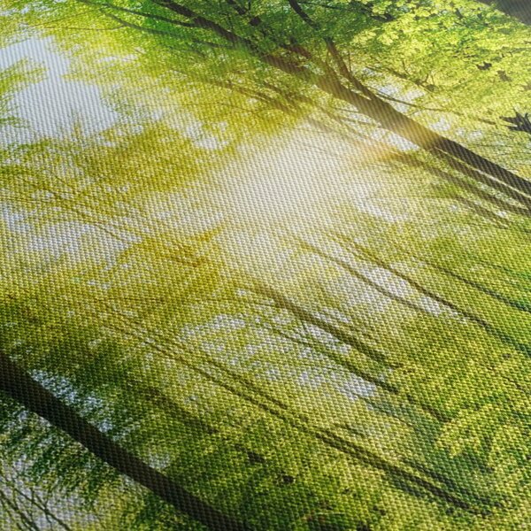 Slika - Zora u šumi (90x60 cm)